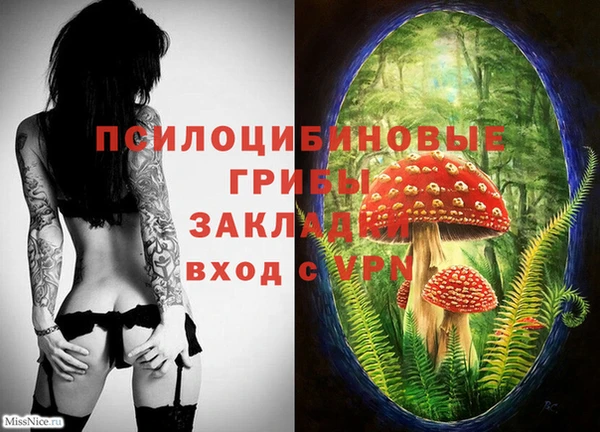 прущий лед Лиски