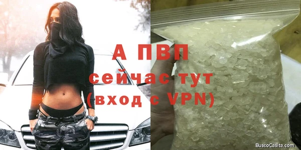apvp Белая Холуница